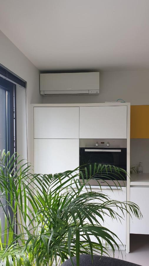 Apartament Modern Stylisch Loft Hasselt Zewnętrze zdjęcie