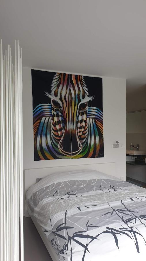 Apartament Modern Stylisch Loft Hasselt Zewnętrze zdjęcie
